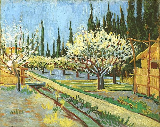Orchard in Blossom, Bordered by Cypresses 
