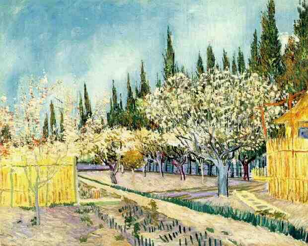 Orchard in Blossom, Bordered by Cypresses 