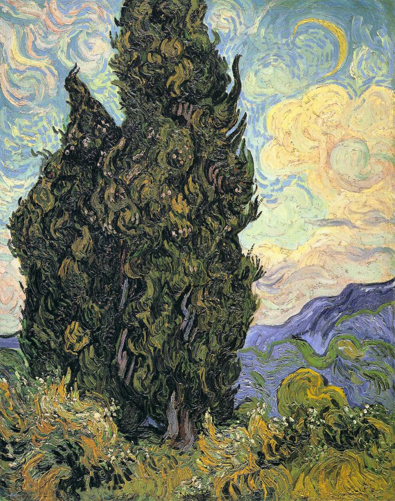  - two cypresses