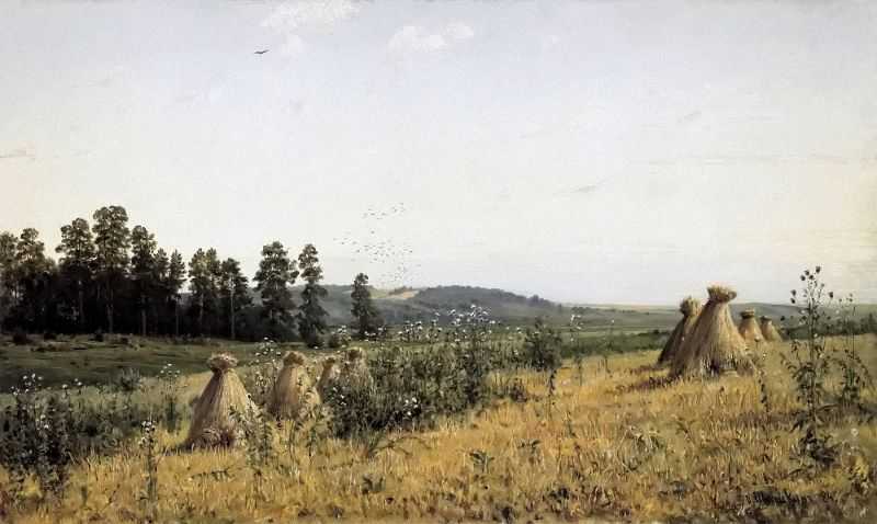 Polesie Landscape