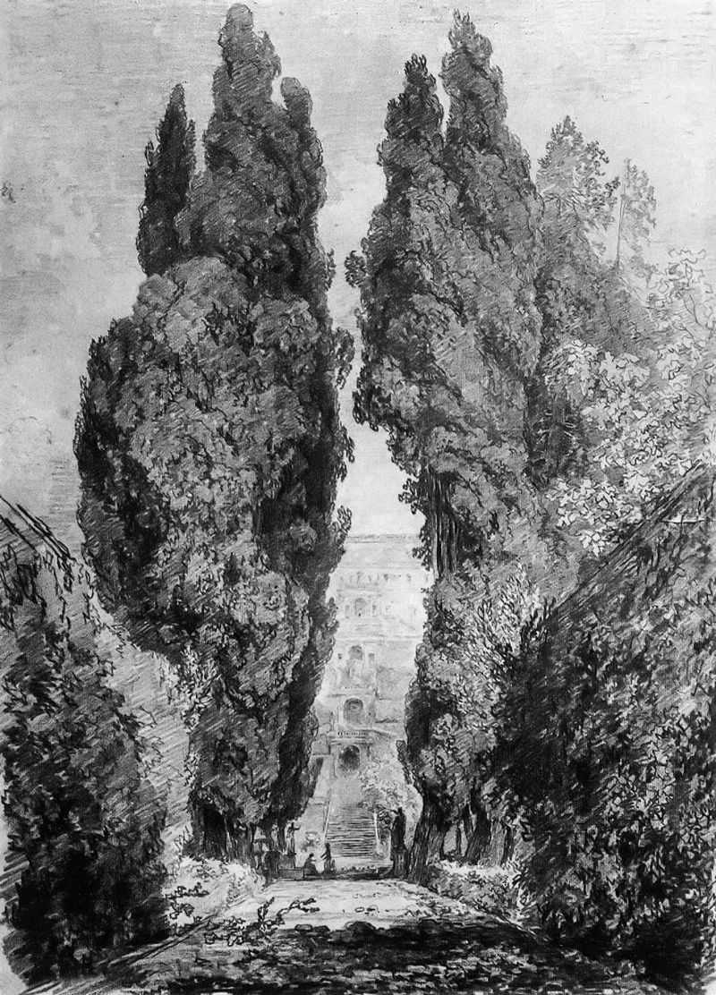 Cypresses in the Garden Avenue of the Villa