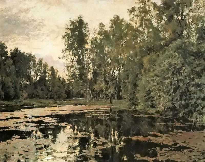 The Overgrown Pond. Domotcanovo