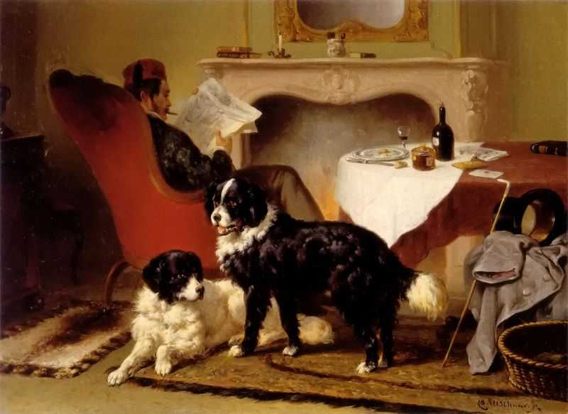 Ķ˺ֻ - Reading man and two dogs