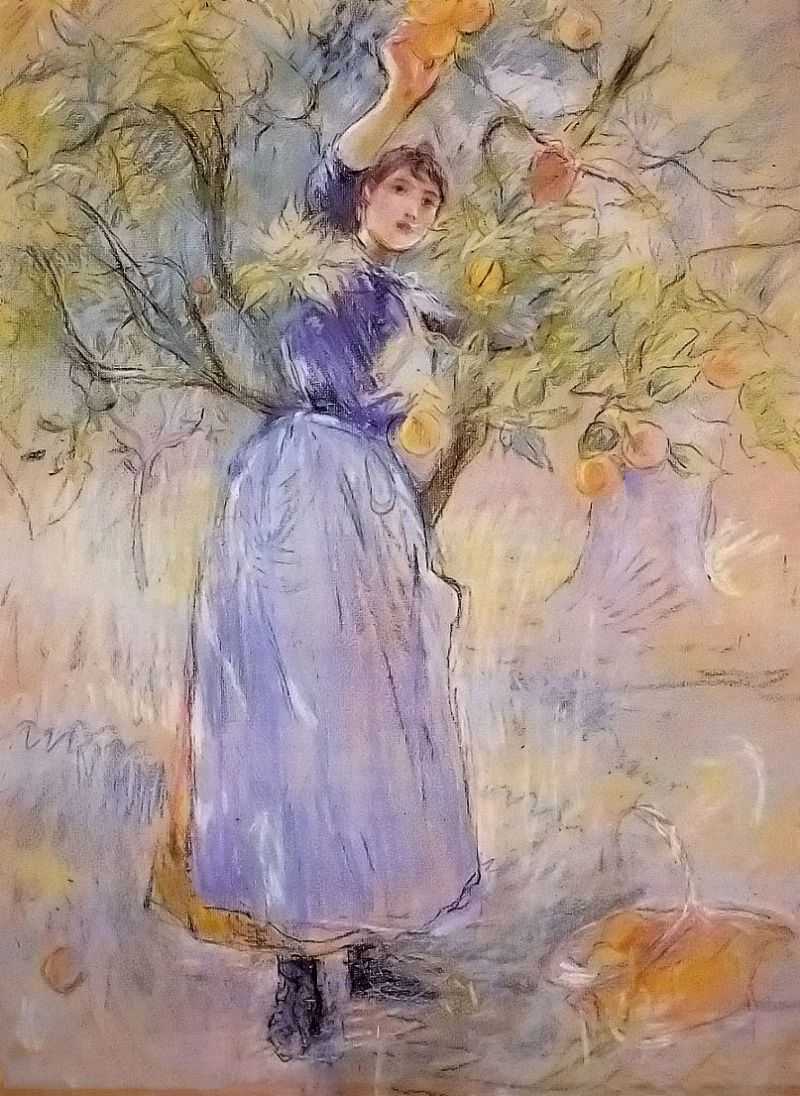 The Orange Picker