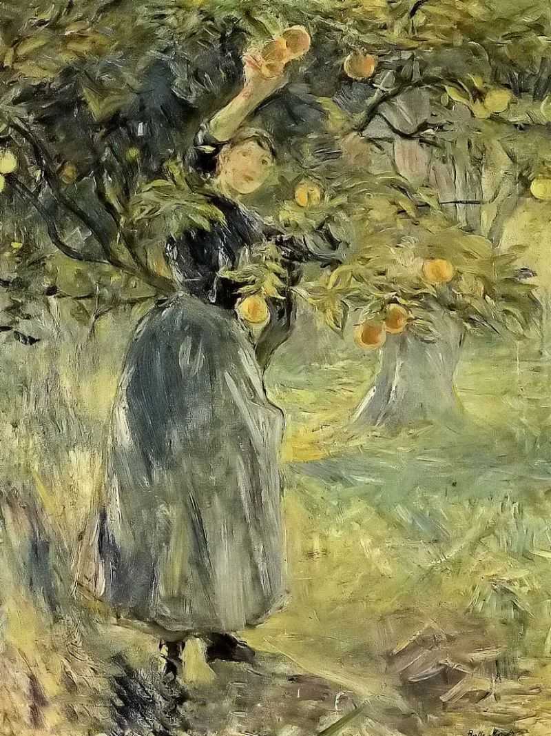 The Orange Picker