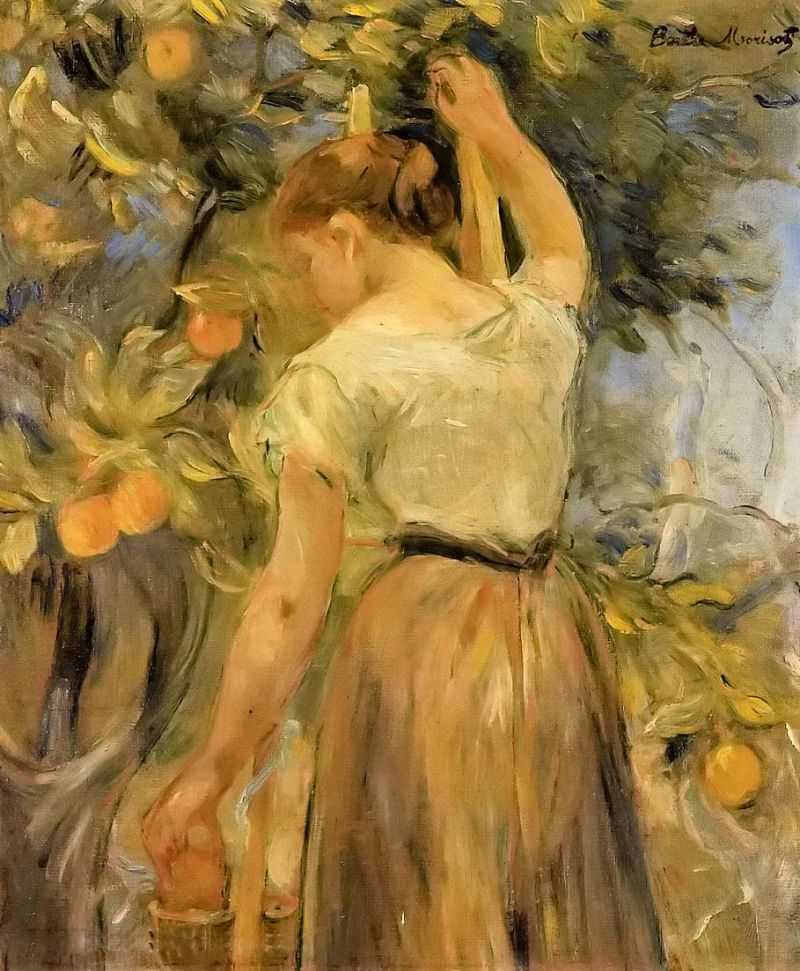 Young Woman Picking Oranges