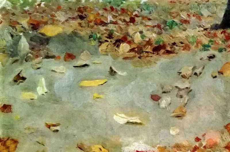 Autumn leaves