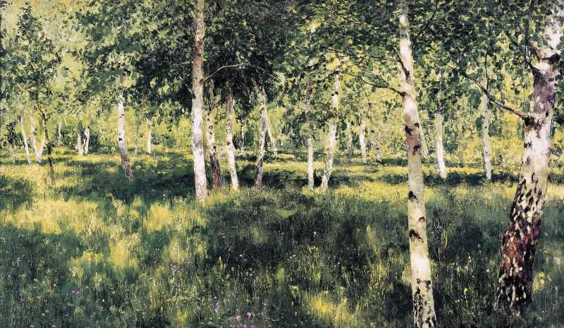  - Birch grove