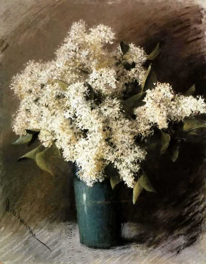 White Lilac