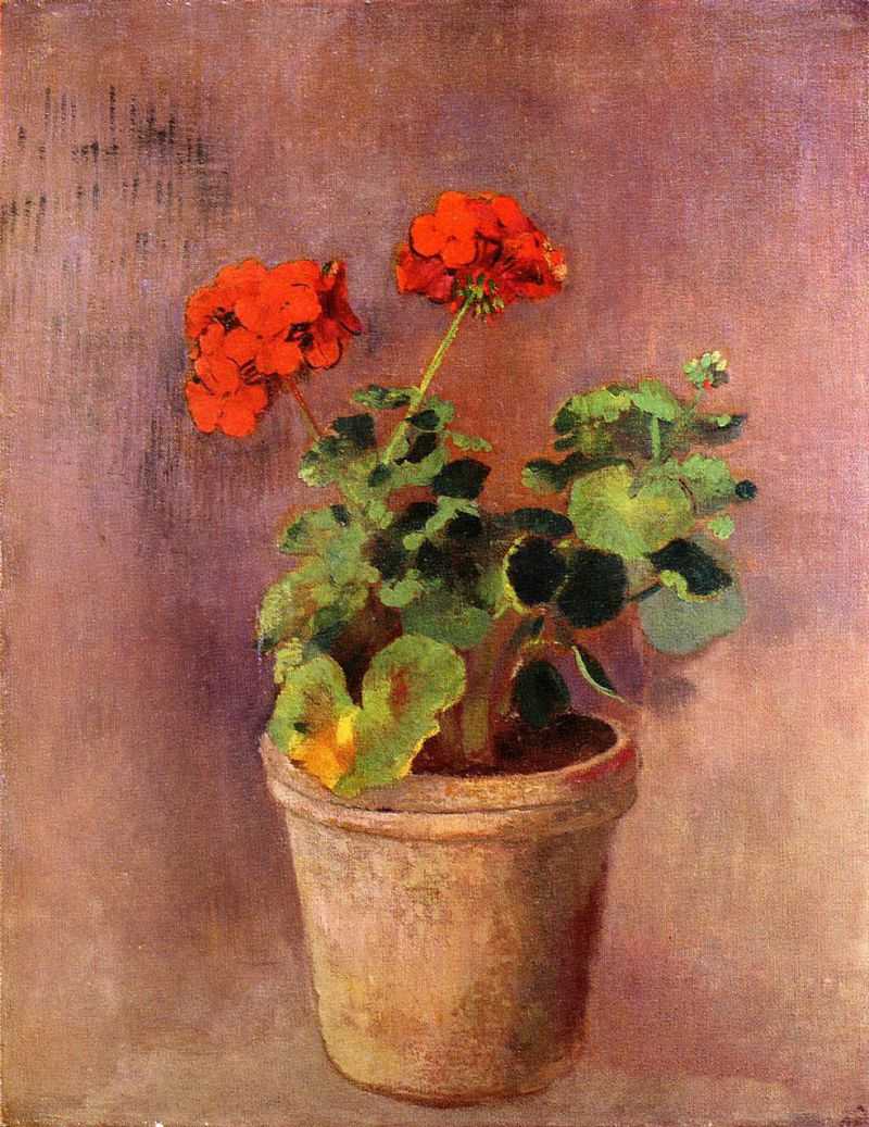 The Pot of Geraniums