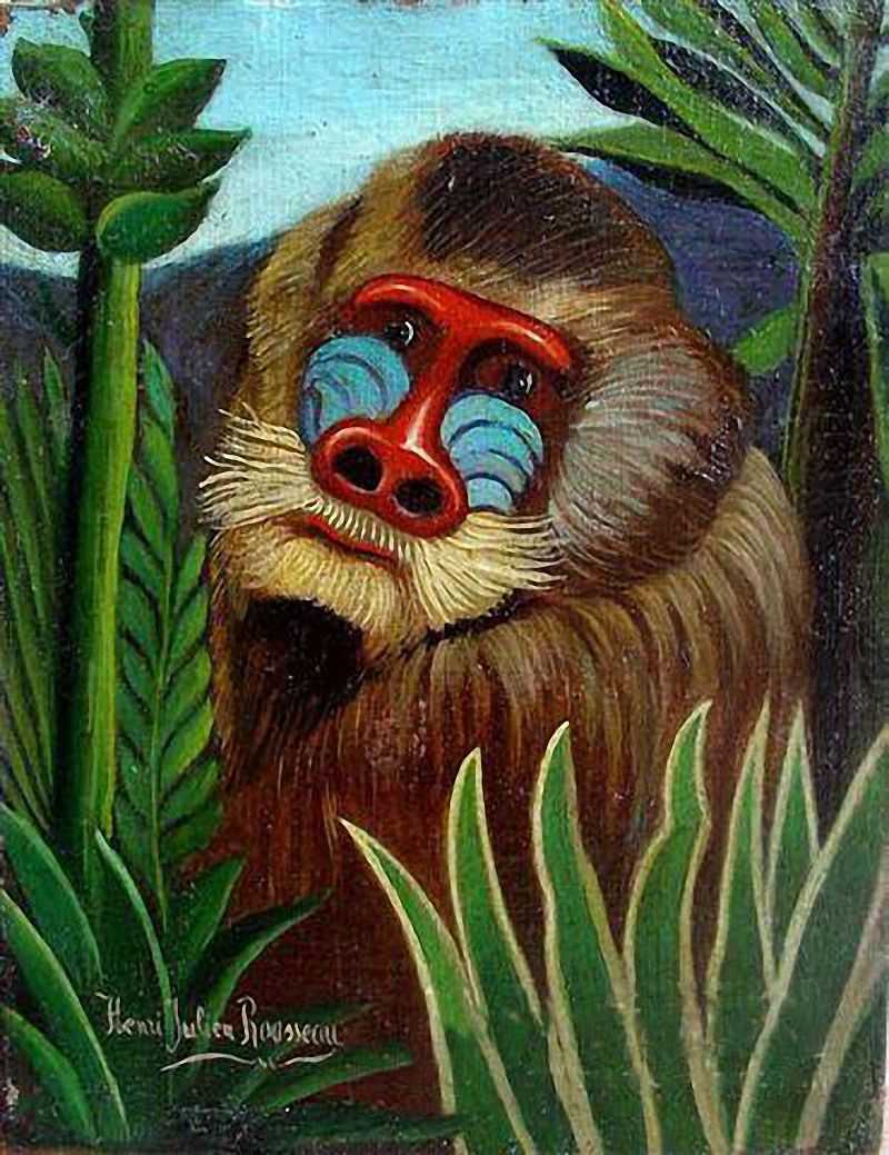 Mandrill in the Jungle