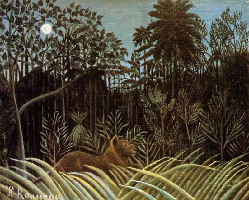 Jungle with Lion