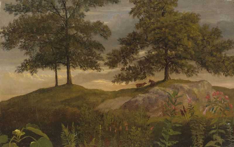 µţ - Landscape with Cows