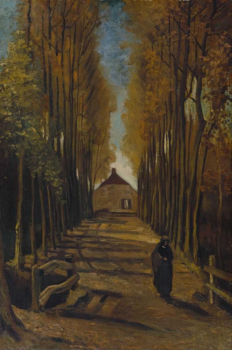  - Avenue of poplars in autumn