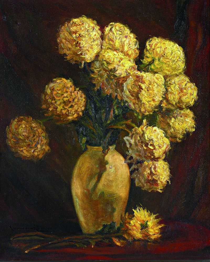 ջ - Chrysanthemums