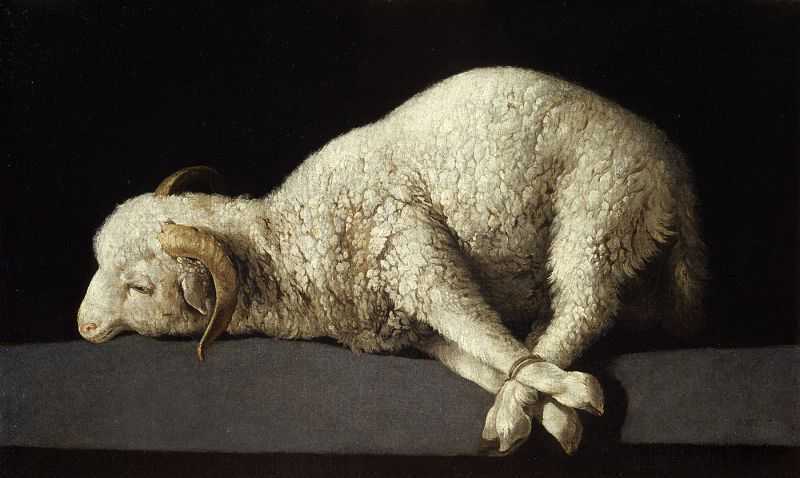 ϵ۵ĸ - Agnus Dei (The Lamb of God)