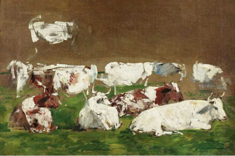 ţ - Cows (study)