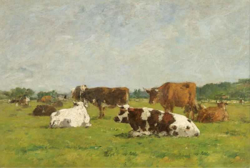 ţ - Cows at the Pasture1