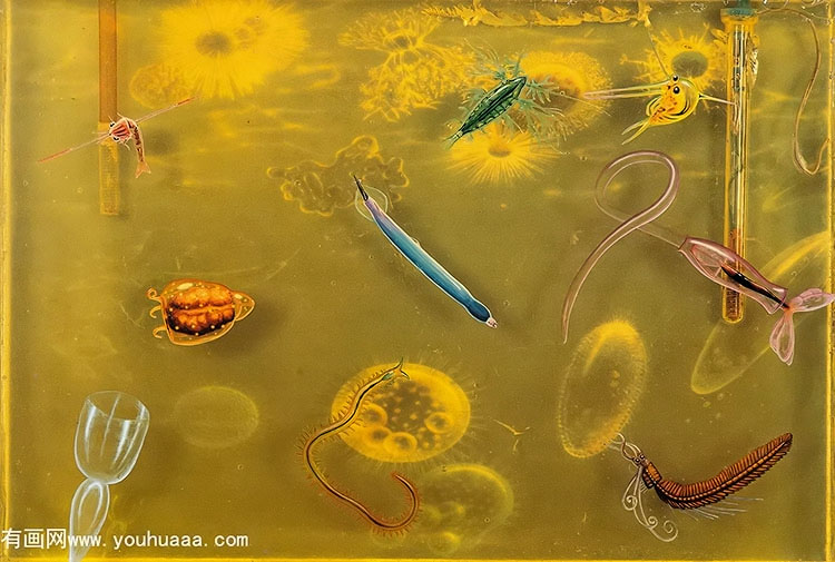 deep sea microorganisms