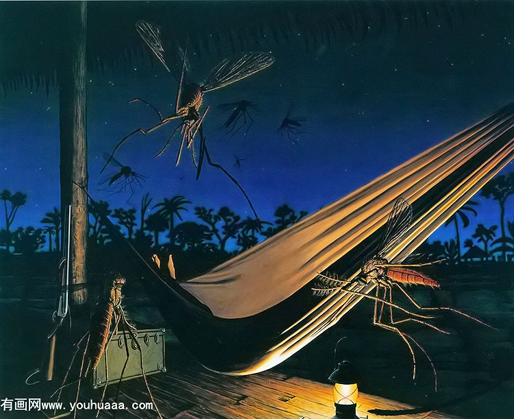 the hammock