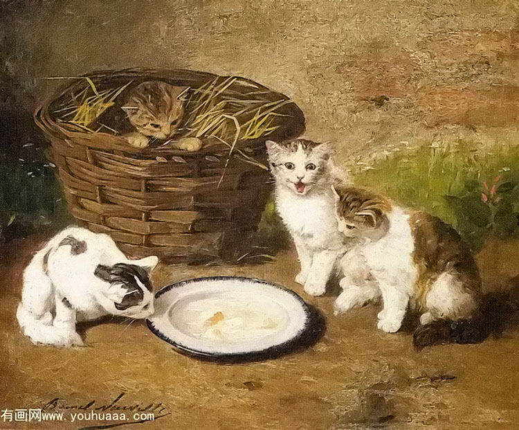 kittens by a bowl of milk