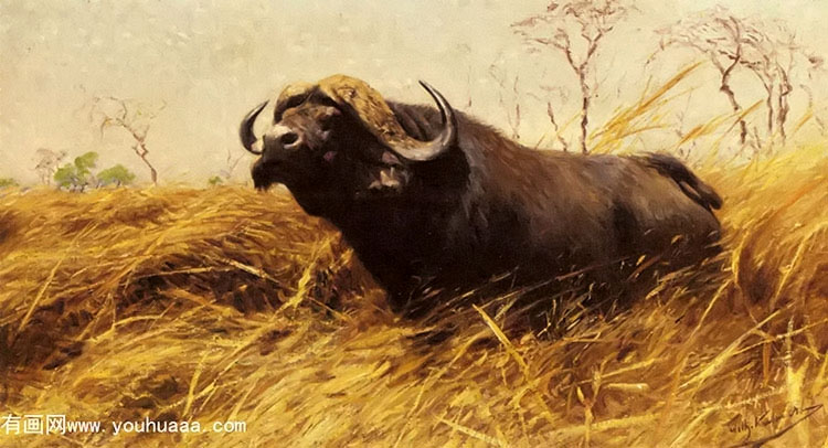 an african buffalo