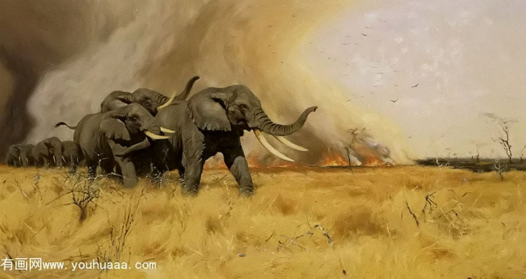 elephants moving before a veldt fire