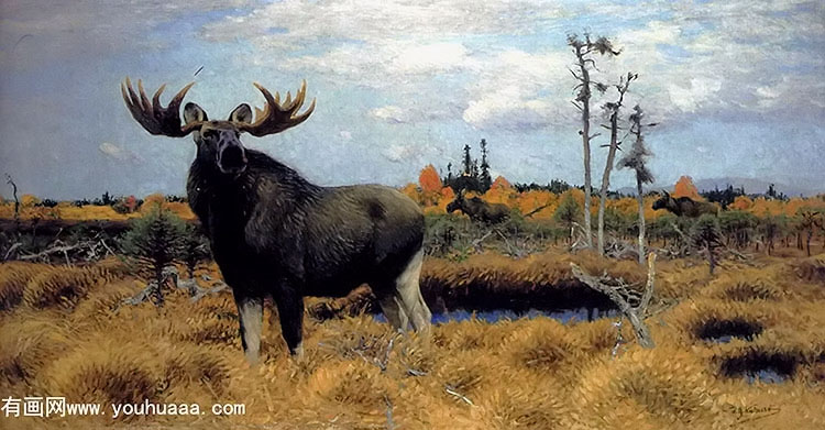 elks in a marsh landscape