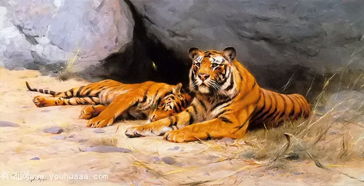 tigers resting