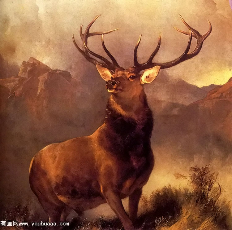 monarch of the glen