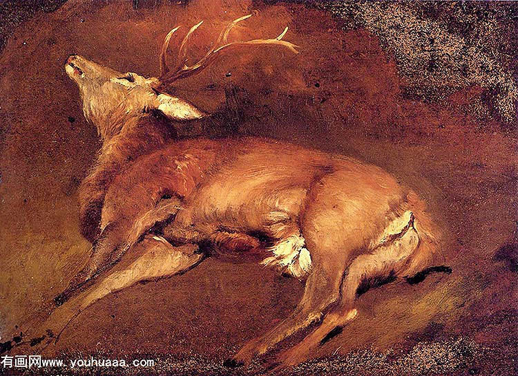 study of a dead stag