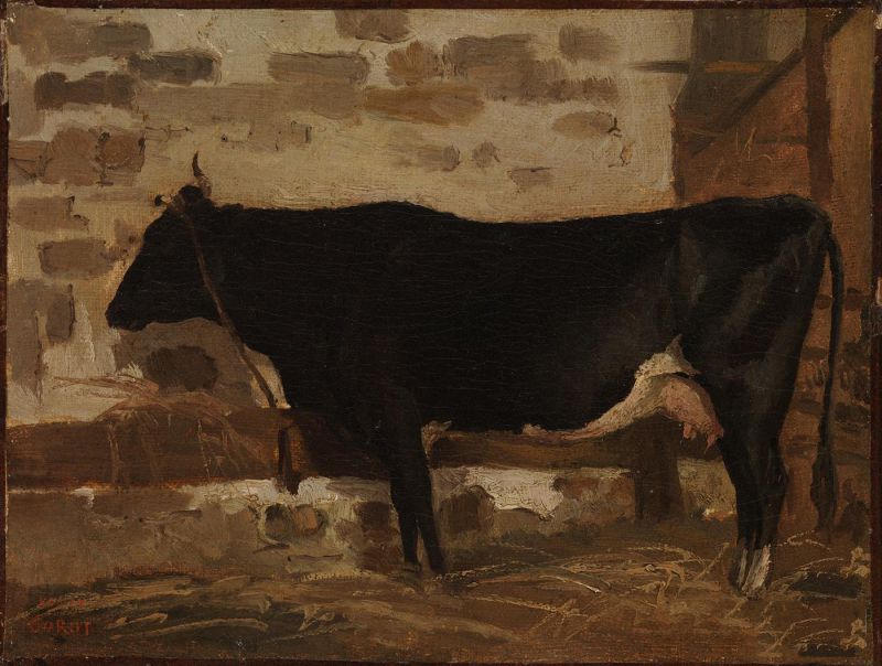 Ȳţ - Cow in a Barn