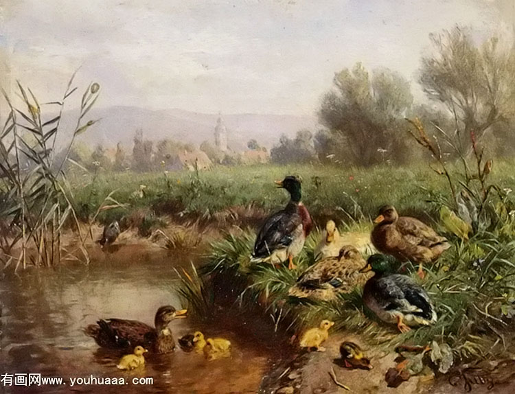 ducks by a pond