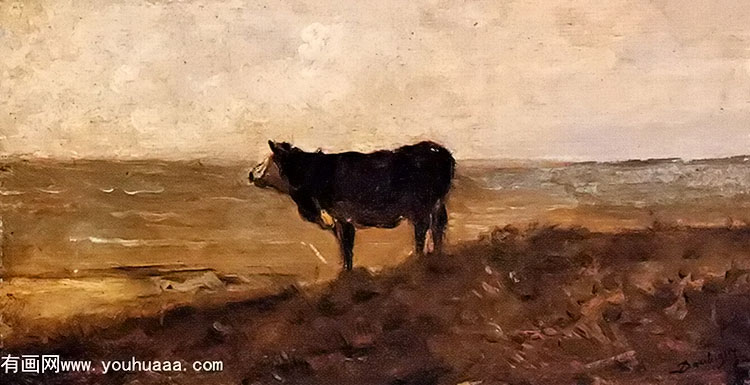 the lone cow