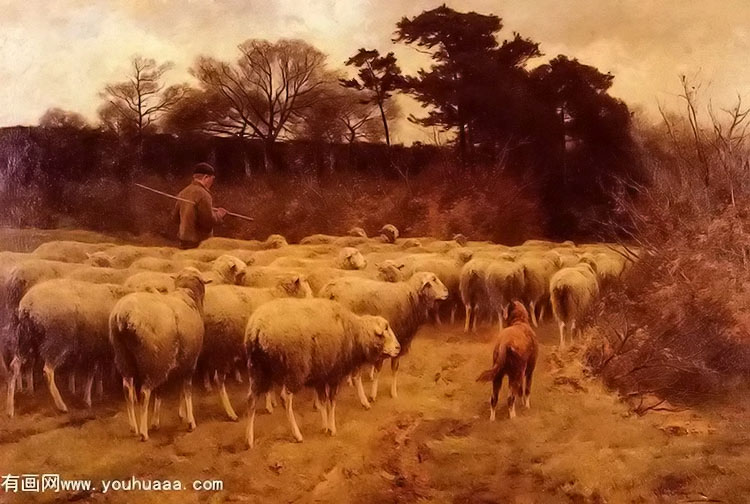 return of the flock