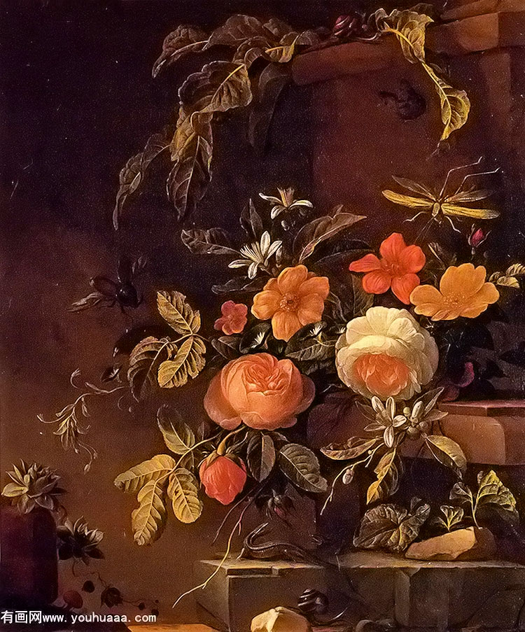 flowers in a landscape with a lizard