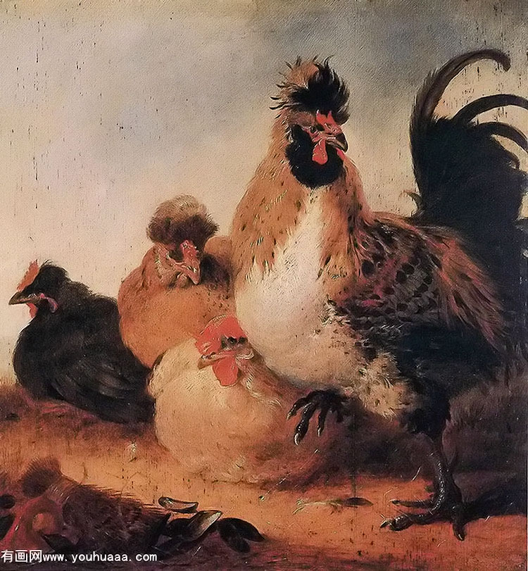 һЩĸ - rooster and hens