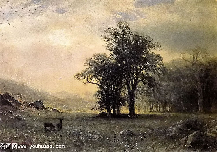 deer in a landscape