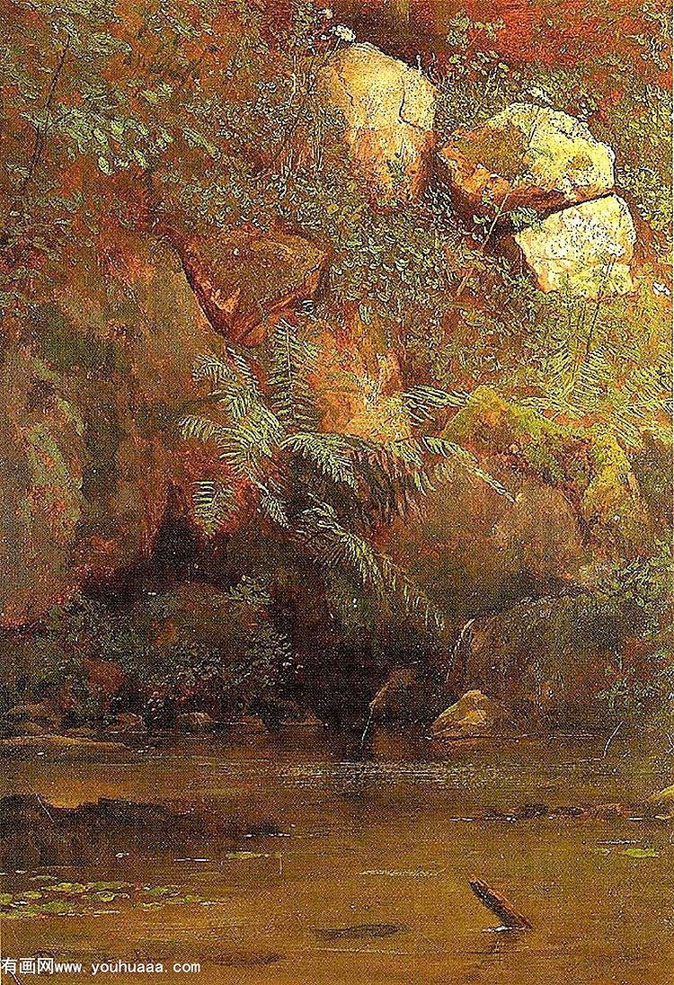 ferns and rocks on an embankment