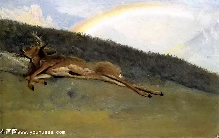 rainbow over a fallen stag