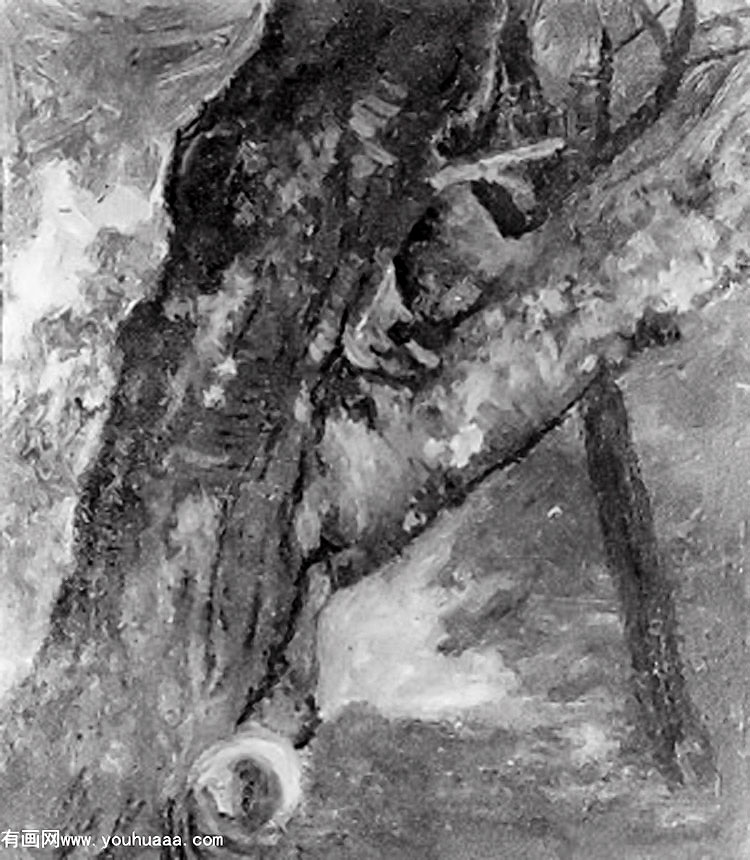 study of a tree