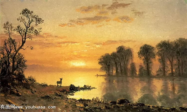 sunset, deer, and river