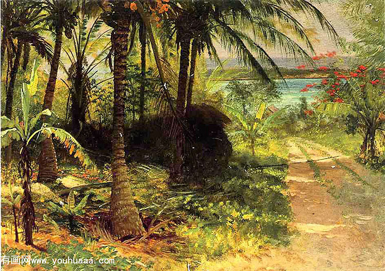 tropical landscape