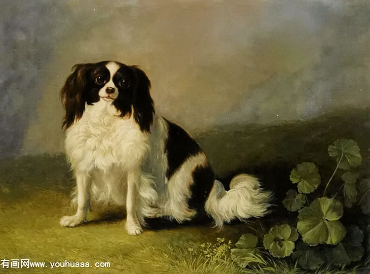 a king charles spaniel in a landscape