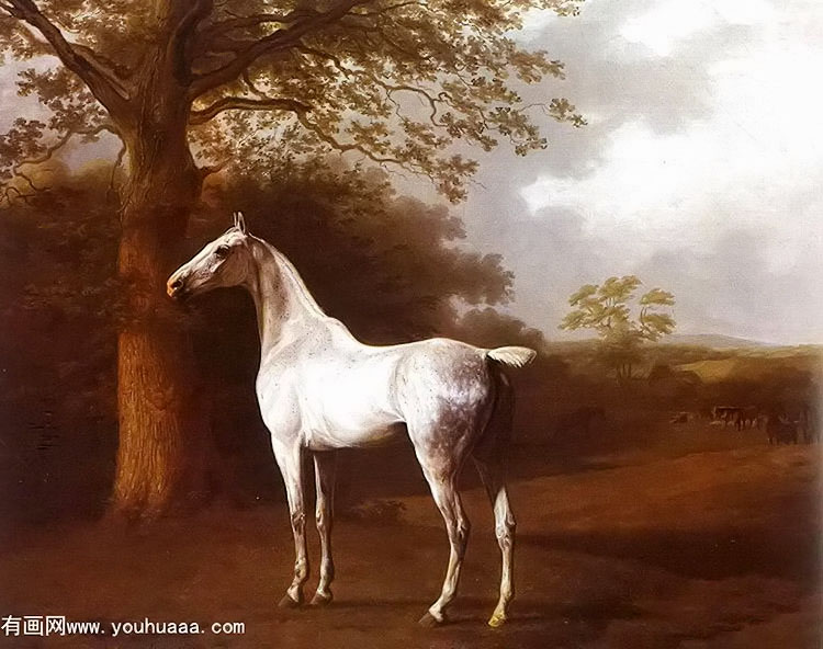 white horse in pasture