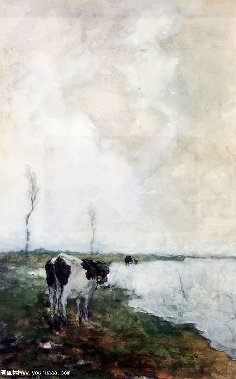 a cow standing by the waterside in a polder