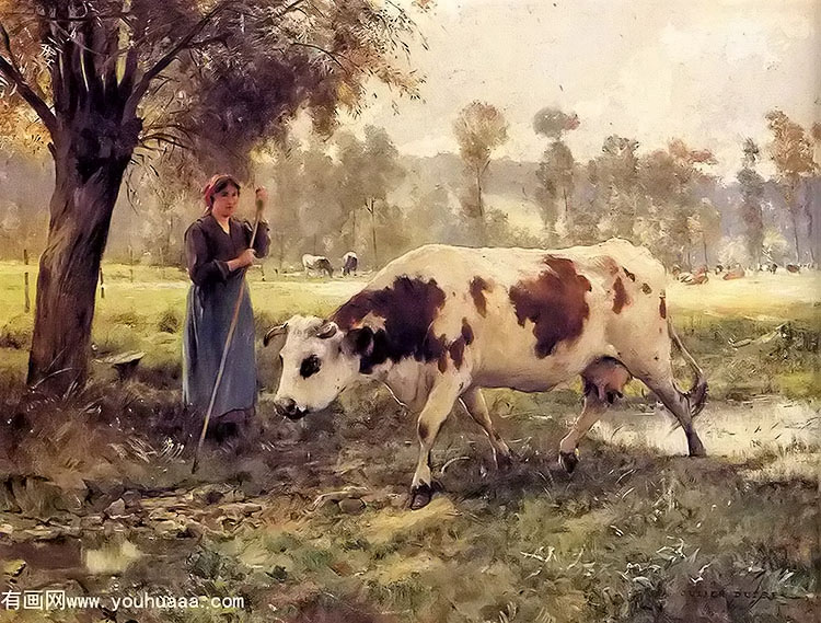 cows at pasture