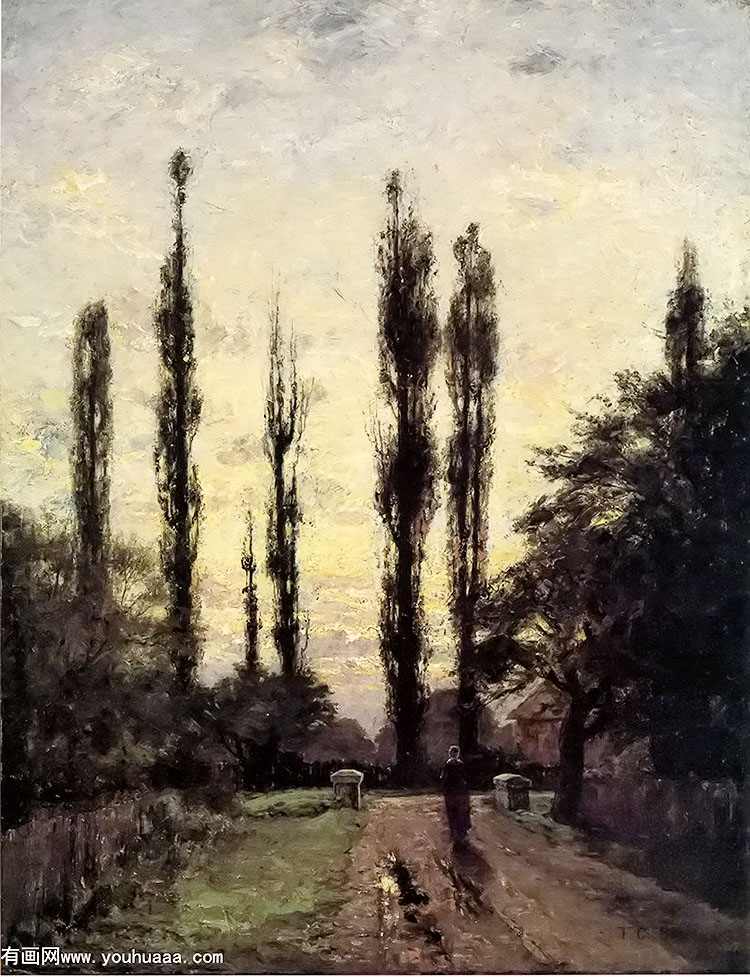 evening, poplars