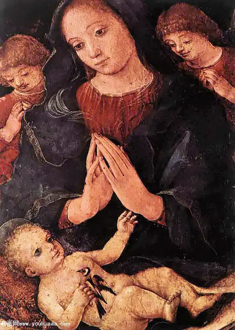 ȸʥĸ - madonna del cardellino