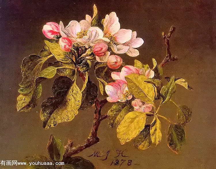 apple blossoms